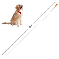 Cateter urinário para cães